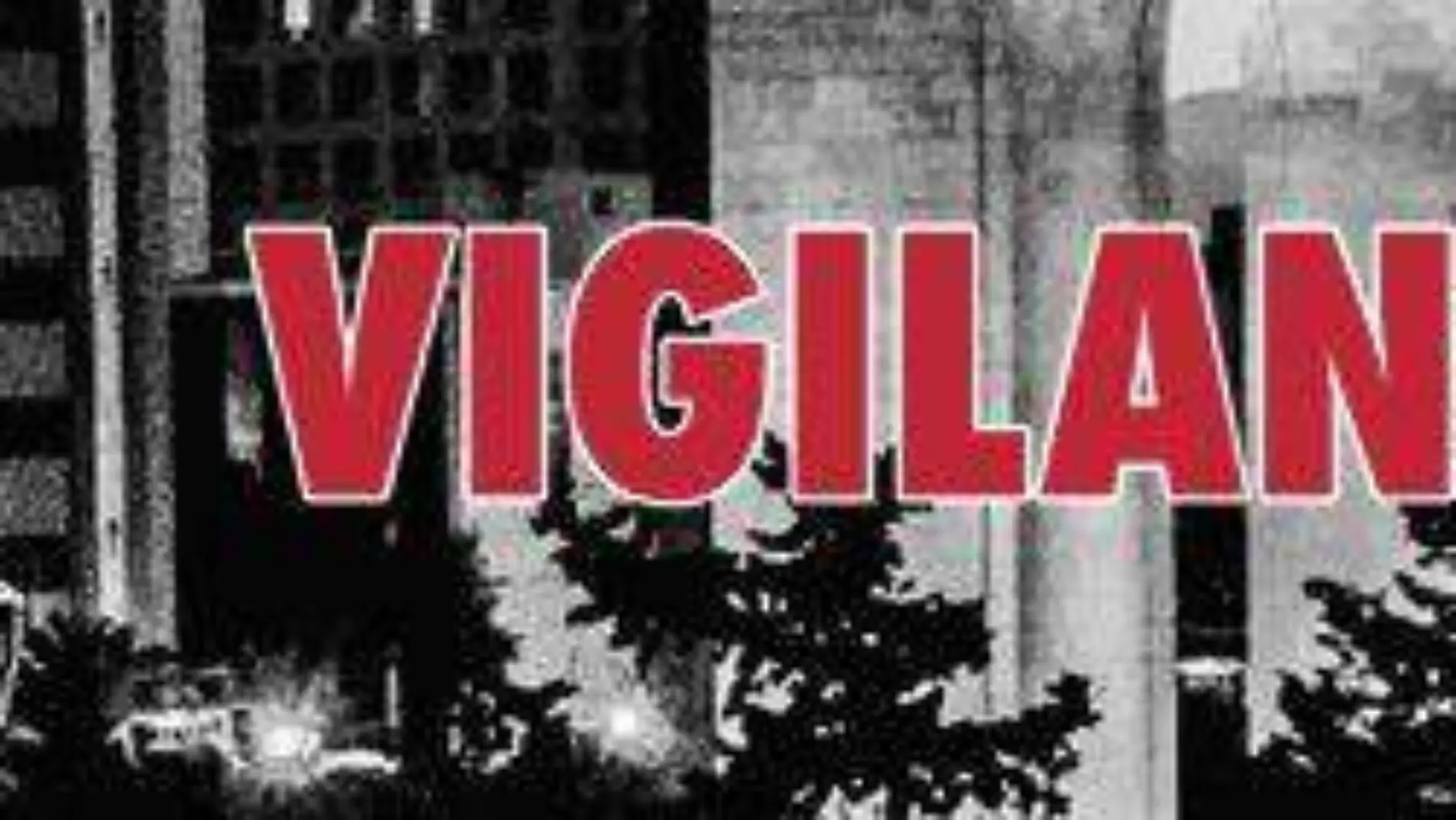 vigilantes identidad